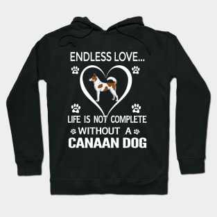 Canaan Dog Lovers Hoodie